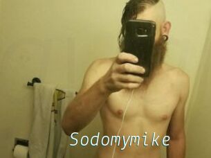 Sodomymike