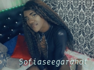 Sofiaseegarahot