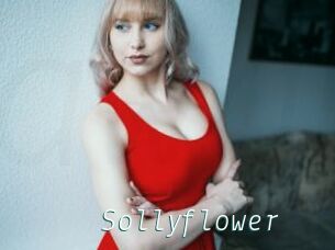 Sollyflower