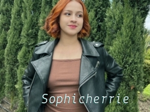 Sophicherrie