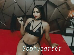 Sophycarter