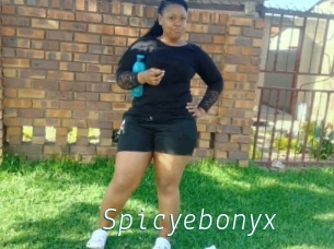 Spicyebonyx