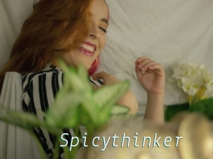 Spicythinker