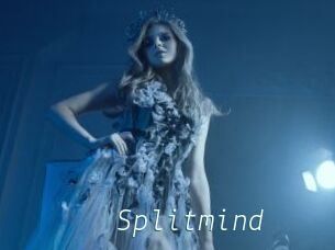 Splitmind