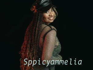 Sppicyammelia