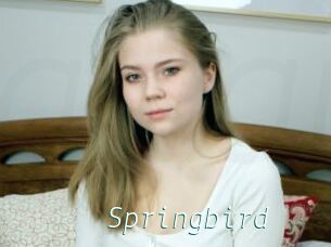 Springbird