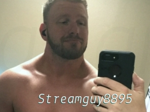Streamguy8895
