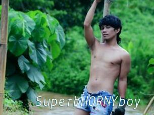 SuperbHORNYboy