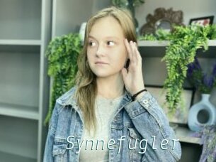 Synnefugler