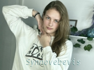 Synnovebevis
