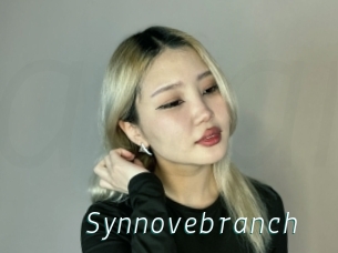 Synnovebranch