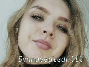 Synnovegledhill