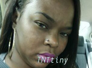 T_N_Ttiny