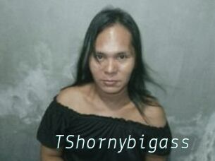 TShornybigass