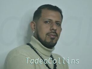 TadeoCollins