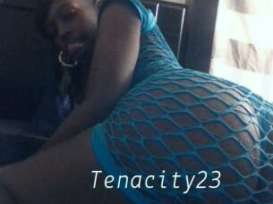 Tenacity23