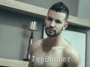 TeoBanner