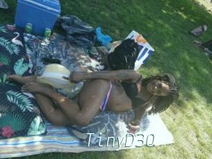TinyD30