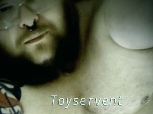 Toyservent