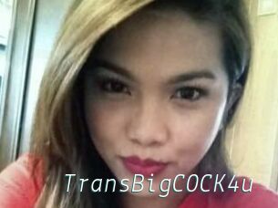 TransBigCOCK4u