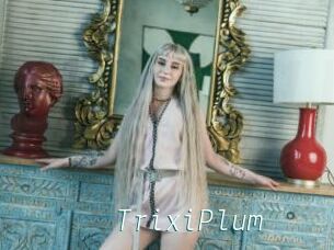 TrixiPlum