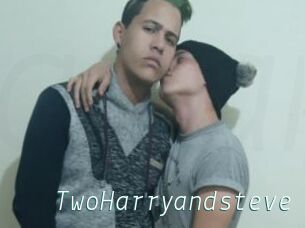 TwoHarryandsteve