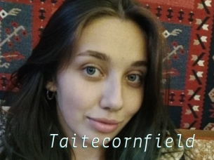 Taitecornfield