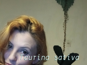 Taurina_sativa