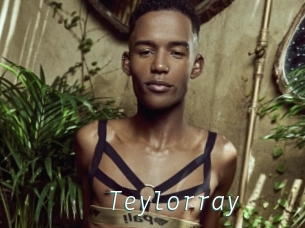 Teylorray