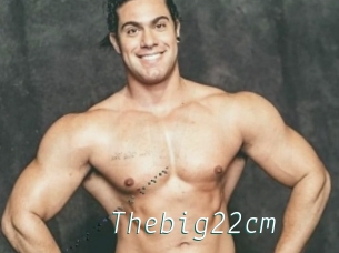 Thebig22cm