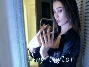 Tiny_taylor