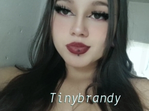 Tinybrandy