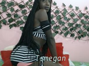 Tsmegan