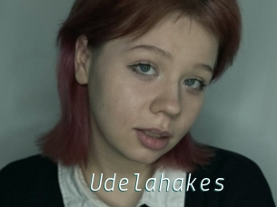 Udelahakes