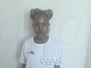 Uggal