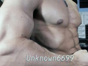 Unknown6699