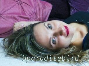 Uparadisebird