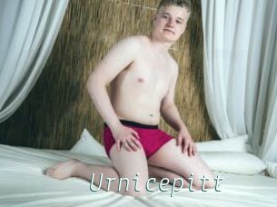 Urnicepitt