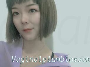 Vaginalplumblossom