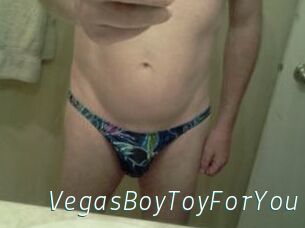 VegasBoyToyForYou