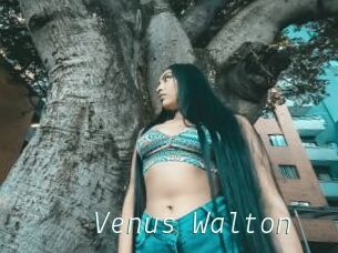Venus_Walton