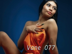 Vane_077