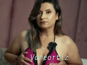 Vaneortiz