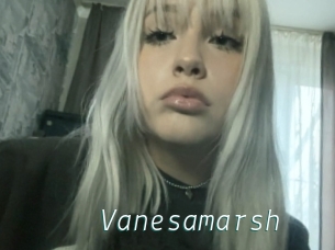 Vanesamarsh