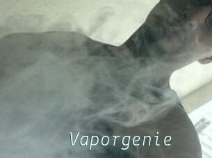 Vapor_genie