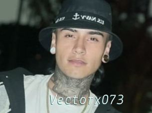 Vectorx073