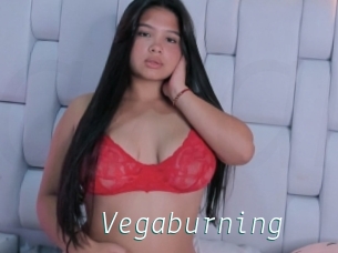 Vegaburning