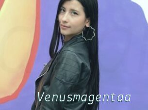 Venusmagentaa