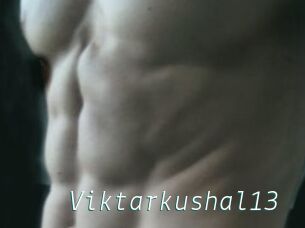 Viktarkushal13