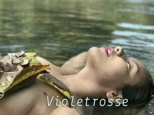 Violetrosse